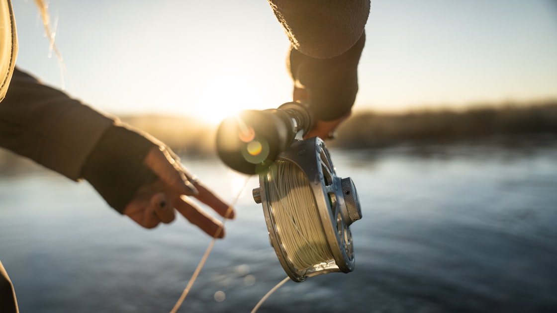 Fly Fishing Techniques for Beginners