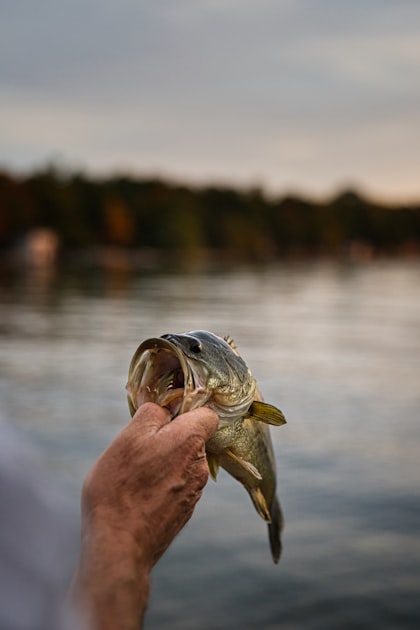 The Best Fly Fishing Destinations