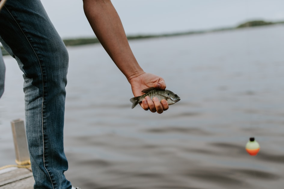 Fly Fishing Conservation Efforts